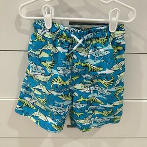 Boys Swim Trunks Size 7-8